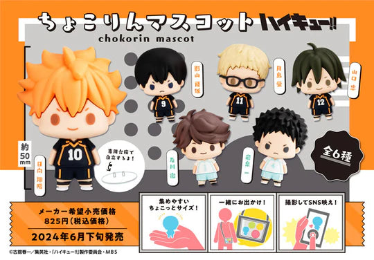 Haikyu!! Vol.1 Megahouse Chokorin Mascot