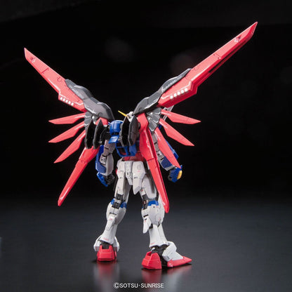 Destiny Gundam RG 1/144