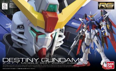 Destiny Gundam RG 1/144